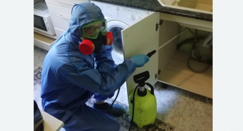 Уничтожение муравьев в квартире. Гжель