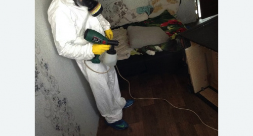 Обработка квартир от насекомых в Гжели