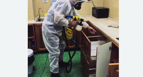 Дезинсекция квартиры. Гжель