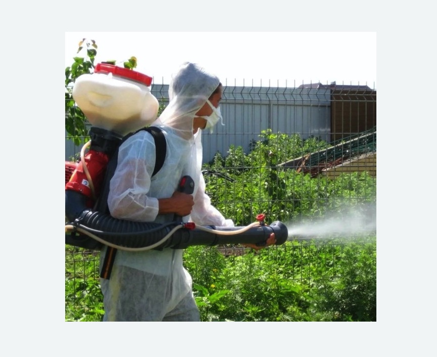 Акарицидная обработка территории в Гжели