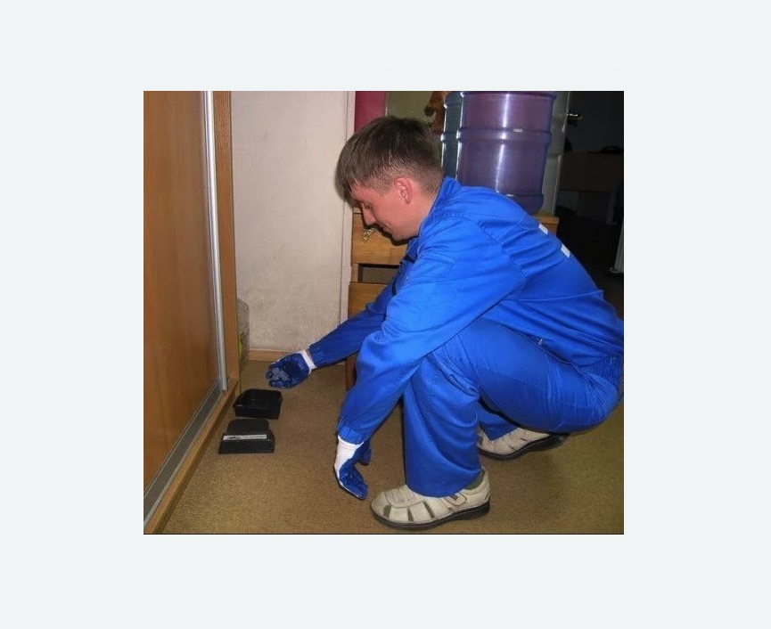 Дератизация крыс Дератизация крыс в Гжели