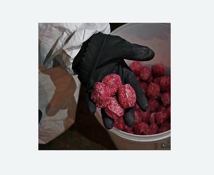 Обработка от крыс Обработка от крыс в Гжели