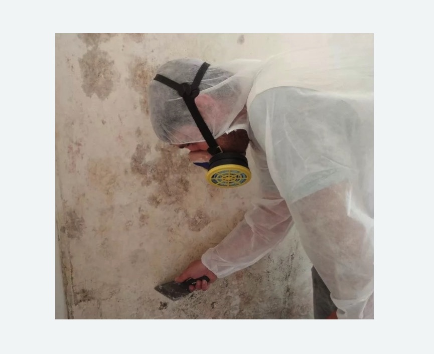 Обработка стен от плесени в Гжели