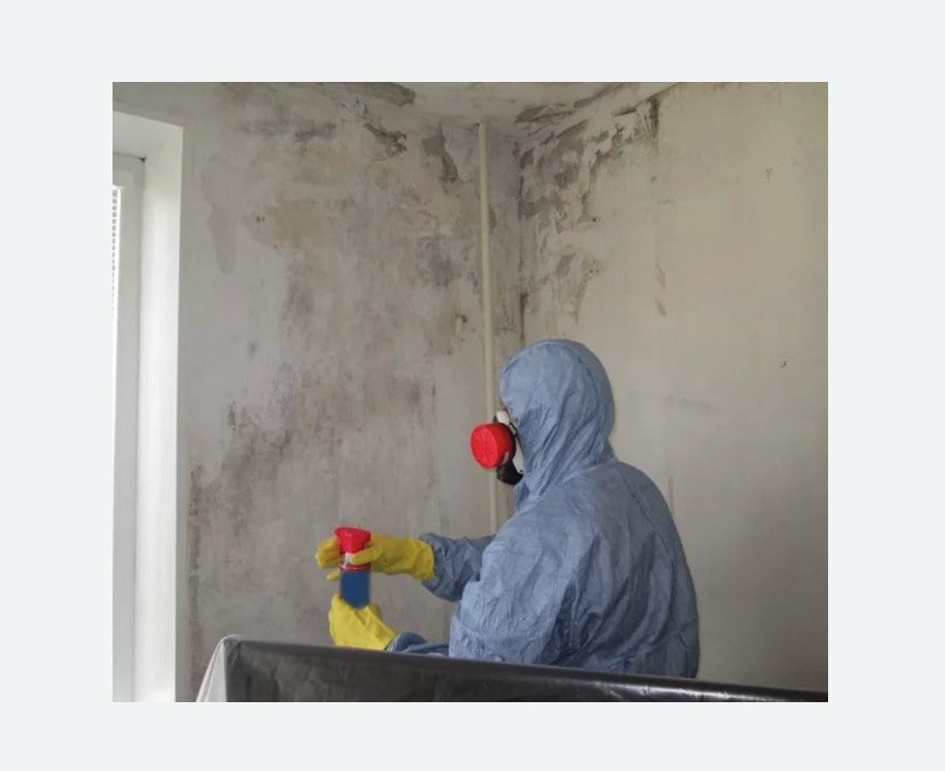 Удаление плесени в квартире в Гжели