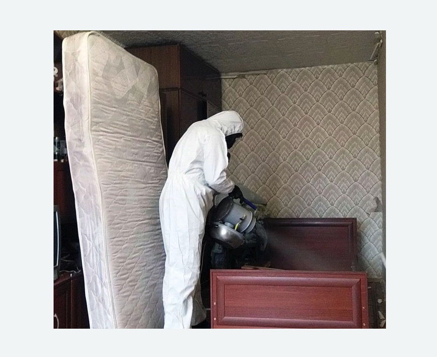 дезинфекция от клопов в Гжели