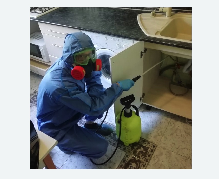 обработка от муравьев в квартире обработка от муравьев в квартире в Гжели