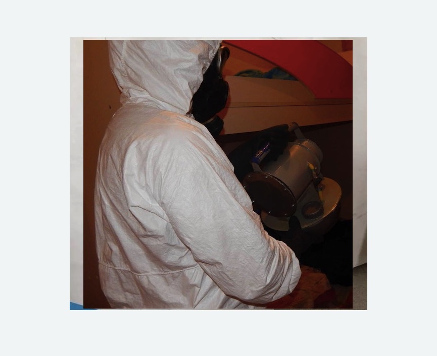 Дезинфекция от муравьев Дезинфекция от муравьев в Гжели