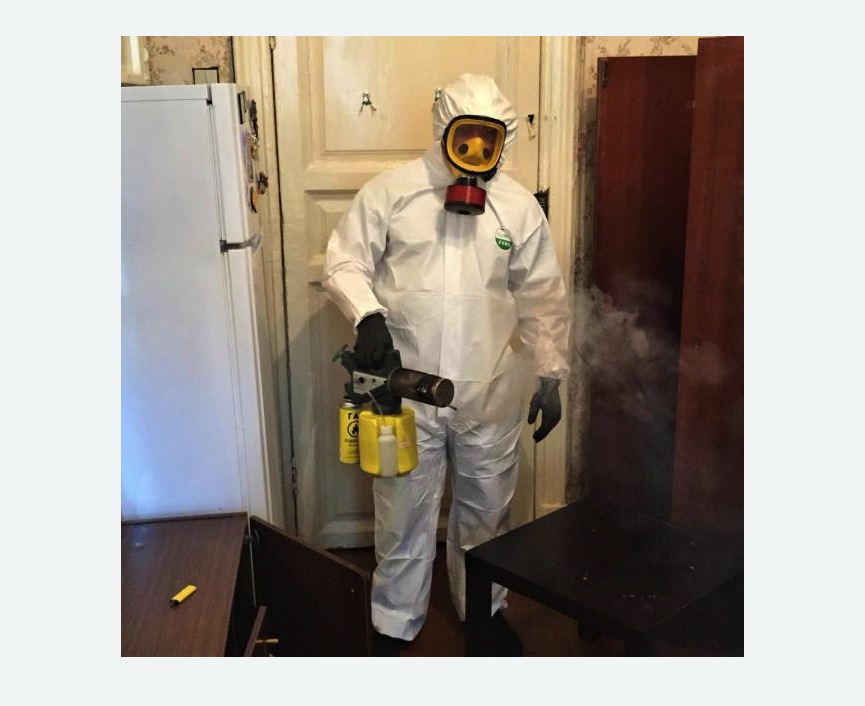 уничтожение муравьев в квартире уничтожение муравьев в квартире в Гжели